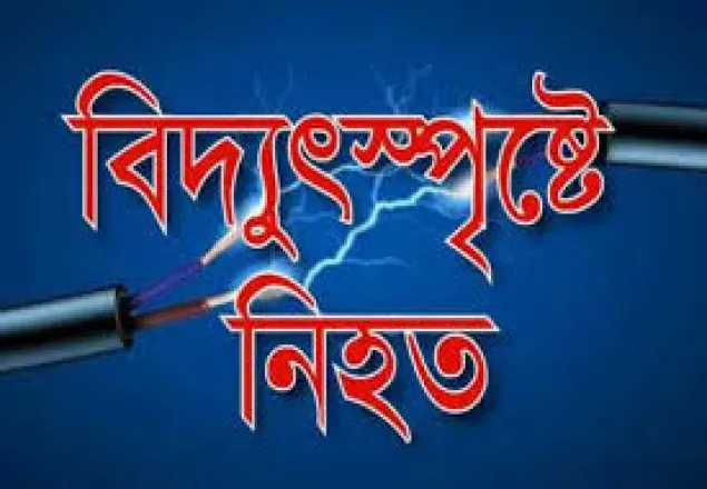 ঝিনাইদহে বিদ্যুতস্পর্শে গৃহবধুর মৃত্যু, স্বামী আহত