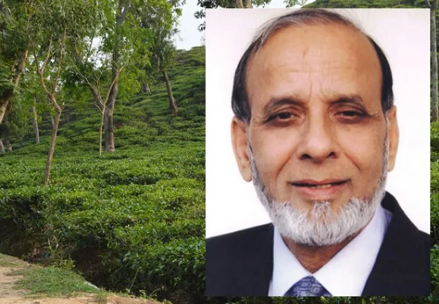 শিল্পপতি রাগীব আলী ভারতে আটক