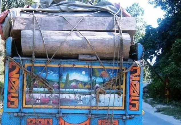 মিঠাপুকুরে দুই ট্রাকের মুখোমুখি সংঘর্ষ, নিহত ২