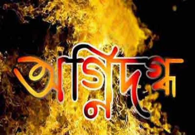 হাজারীবাগে অগ্নিকাণ্ডে দগ্ধ ৪