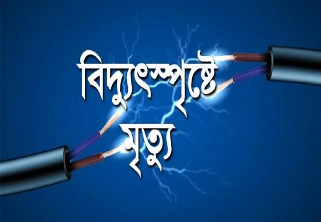 কিশোরগঞ্জে বিদ্যুৎস্পৃষ্টে দুই ভাইয়ের মৃত্যু