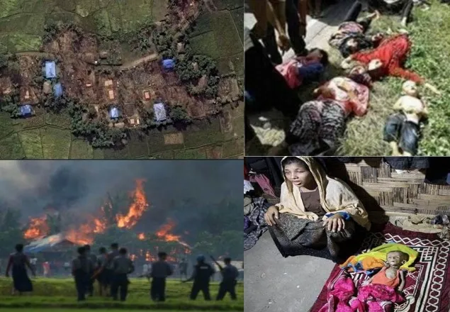 রোহিঙ্গাদের উপর একেমন বর্বরতা, কোথায় বিশ্ববিবেক ?