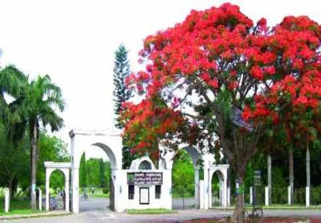 ইবির ‘এইচ’ ইউনিটের ফল প্রকাশ