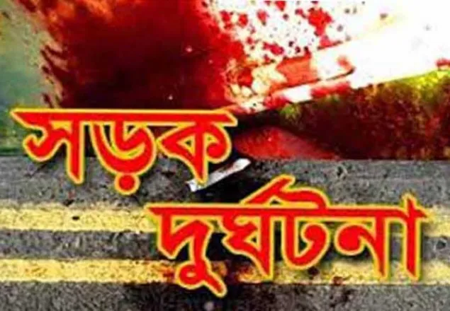 কুষ্টিয়ায় সড়ক দুর্ঘটনায় নসিমন চালক নিহত