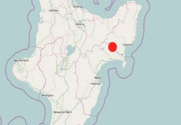 নিউজিল্যান্ডে বিমান দুর্ঘটনা, নিহত ২