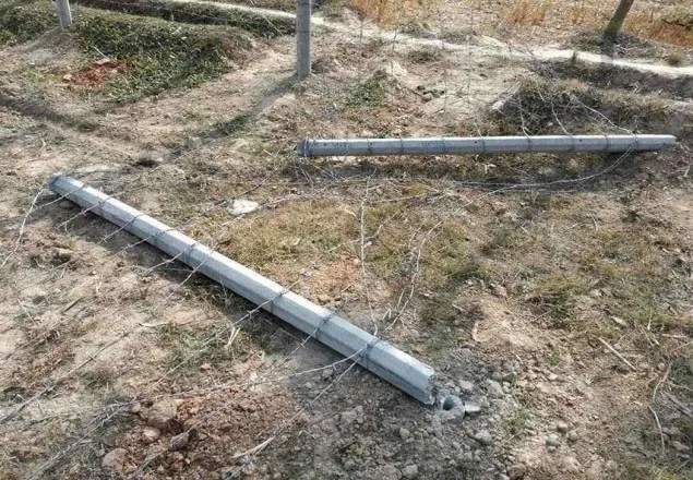 গাইবান্ধা ইক্ষু খামারের কাঁটাতার বেড়ার পিলার ভাংচুর