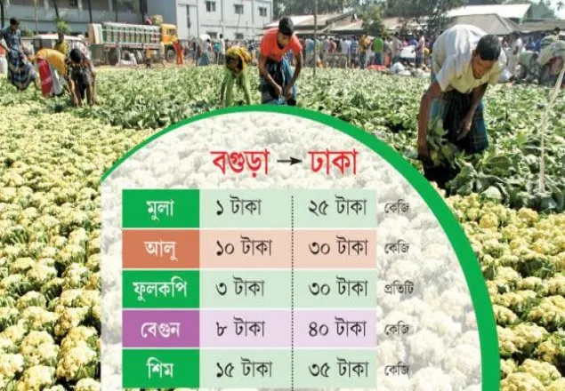 গ্রামে ঠকছে কৃষক, শহরে ভোক্তা