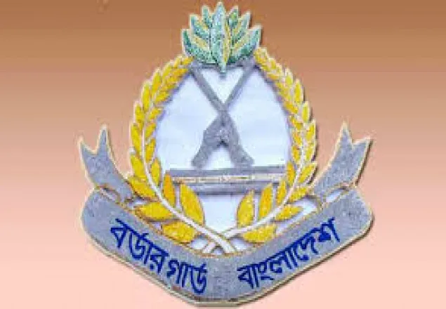 বিজিবির অভিযানে ১৩২ কোটি টাকার চোরাচালান পণ্য ও মাদকদ্রব্য আটক