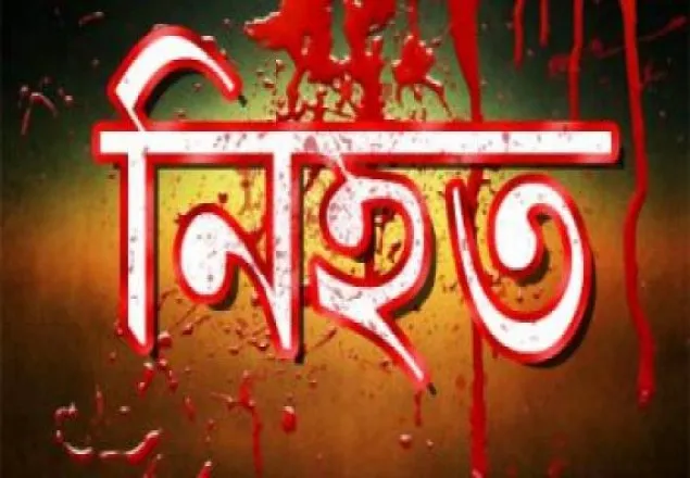 রাজধানীতে পিকআপের চাপায় নববধূ নিহত