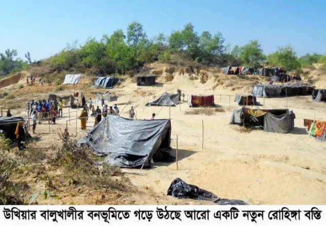 উখিয়ার বালুখালীর বনভূমিতে রোহিঙ্গাদের নতুন বস্তি