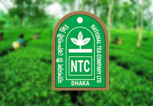  দর বাড়ার কোন কারণ জানেনা ন্যাশনাল টি