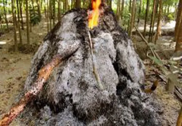এবার ঠাকুরগাঁওয়ে সাঁওতালদের বাড়িতে হামলা, অগ্নিসংযোগ