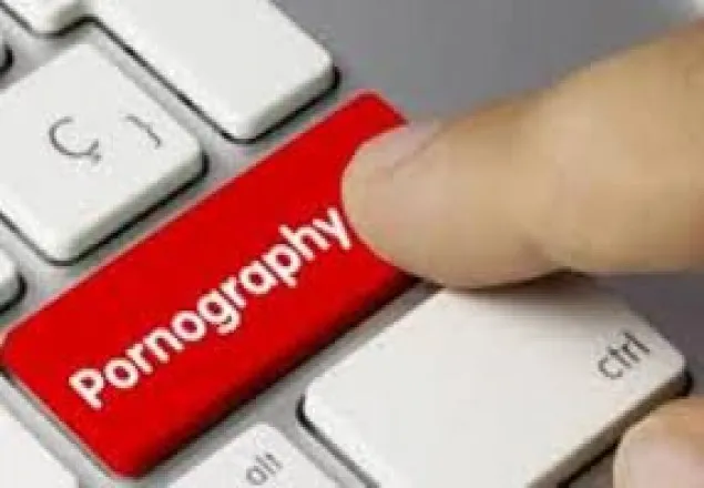 পর্ণো ওয়েবসাইট : চাই কঠোর ব্যবস্থা