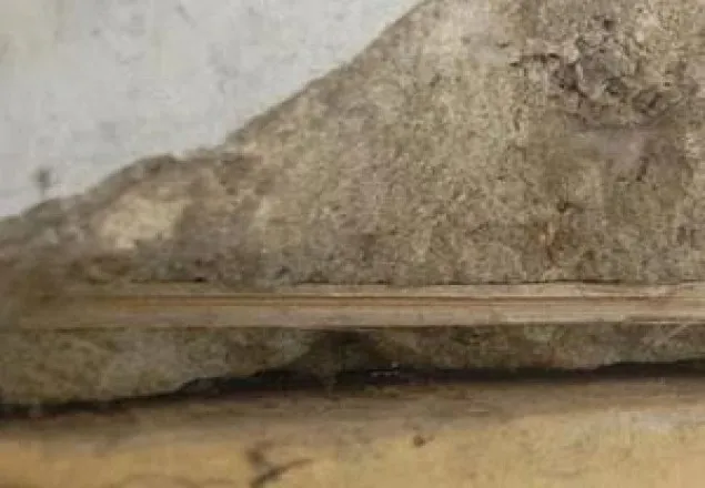 বাঁশ ও কাঠ দিয়ে সরকারি প্রাথমিক বিদ্যালয়ের ভবন নির্মাণের অভিযোগ
