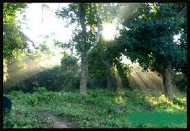 স্বাস্থ্যদের জন্য কেমন শীতের রোদ