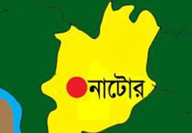 নাটোরে পৃথক সড়ক দুর্ঘটনায় নিহত ১, আহত ২০  