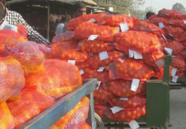 অবৈধভাবে অাসছে ভারতীয় নিম্নমানের কমলা