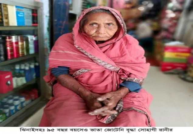 ঝিনাইদহের বৃদ্ধা সোহাগীর এক মুঠো ভাতের জন্য যুদ্ধ !