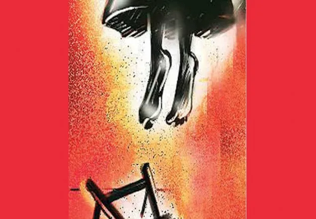 স্বামী ভাত না খাওয়ায় স্ত্রীর আত্মহত্যা!