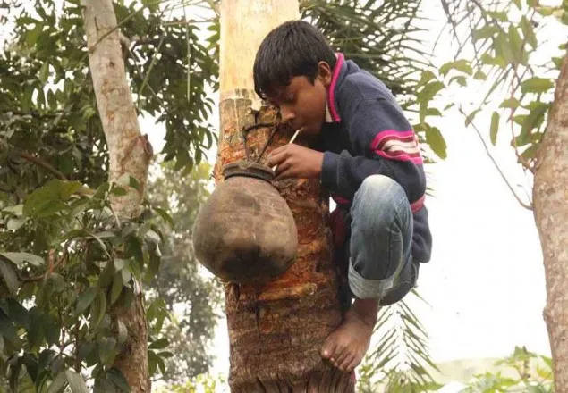 শীতে খেজুর রসের পায়েস খাওয়া অনেকটাই কষ্টসাধ্য