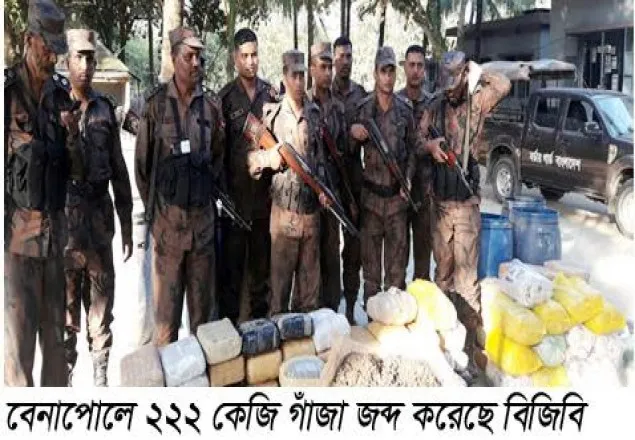 বেনাপোলে ২২২ কেজি গাঁজা উদ্ধার