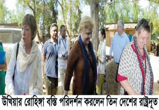 রোহিঙ্গা নির্যাতন গণহত্যার শামিল: ব্রিটিশ হাইকমিশনার