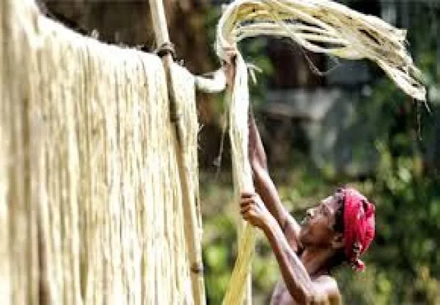 বাংলাদেশের পাটে আন্তর্জাতিক স্বীকৃতি