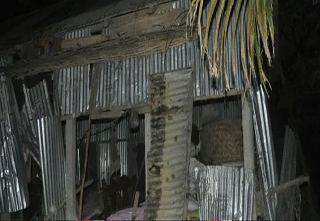 রৌমারী সীমান্তে ভারতীয় হাতির তাণ্ডবে অতিষ্ঠ গ্রামবাসী 
