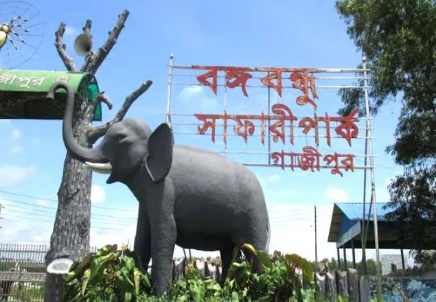 সাফারি পার্কে ঢাবি শিক্ষার্থীদের ওপর হামলা, আহত ২০