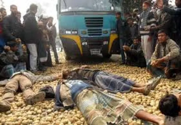 আলু চাষীদের মাথায় হাত