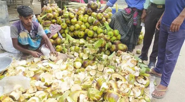 তালের শাঁসের পুষ্টিগুণ