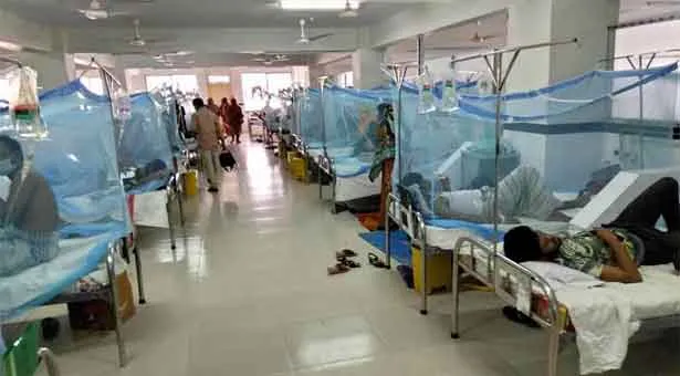 ডেঙ্গুতে আরও ৩৯ জন হাসপাতালে ভর্তি
