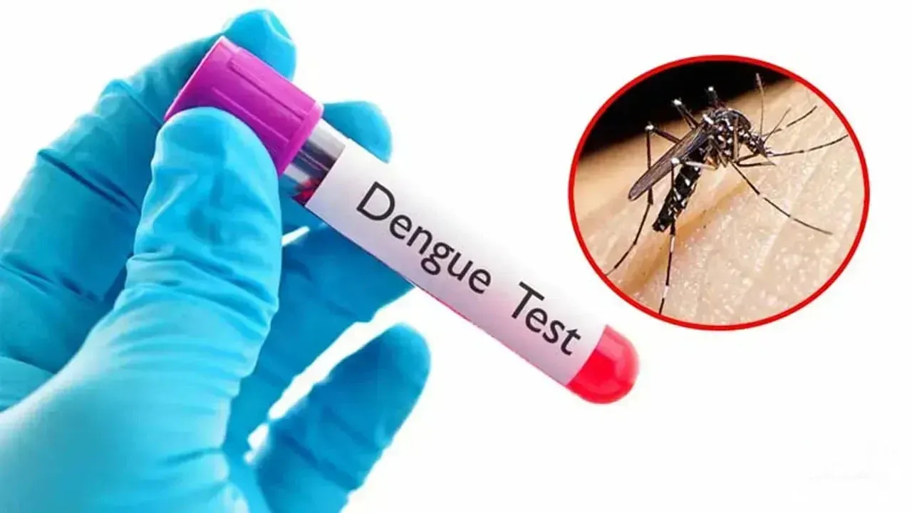 ডেঙ্গুতে ২৪ ঘণ্টায় আরও ৫ মৃত্যু