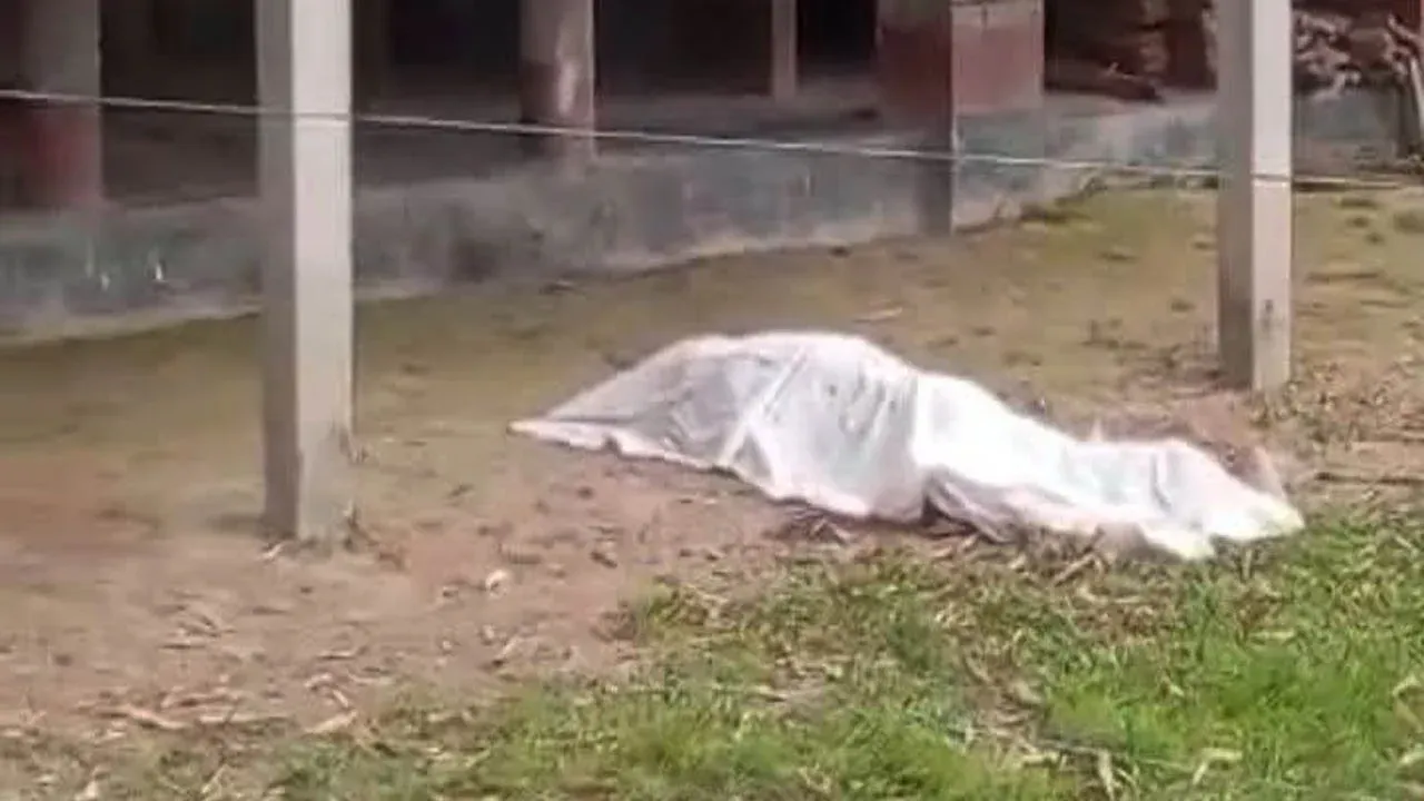 নীলফামারীতে উঠানে কৃষকের গলাকাটা লাশ