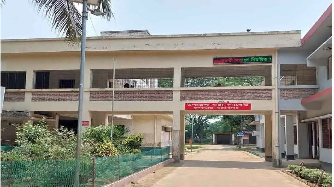 ভীমরুলের কামড়ে দাদি ও নাতির মর্মান্তিক মৃত্যু