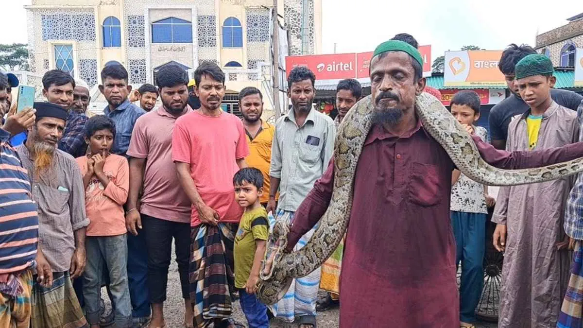 জালে আটকা ৯ ফুটের অজগর, দেখতে জনতার ভিড়