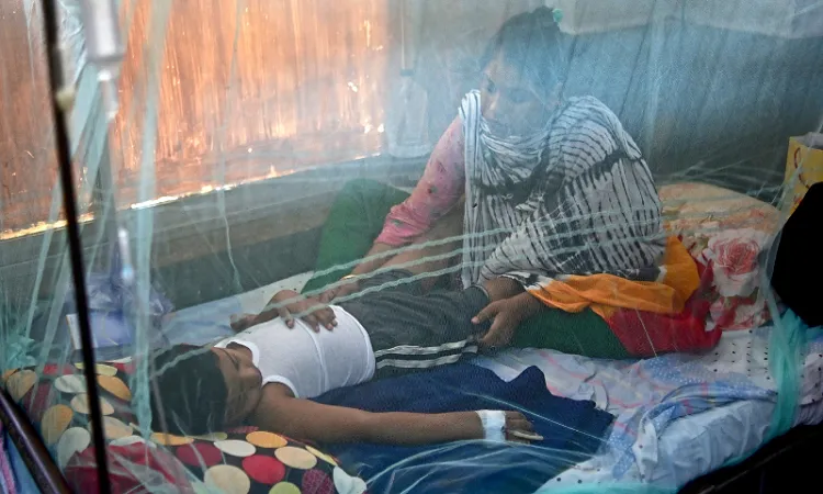 3 kills in dengue, 899 hospitalised in 24 hrs