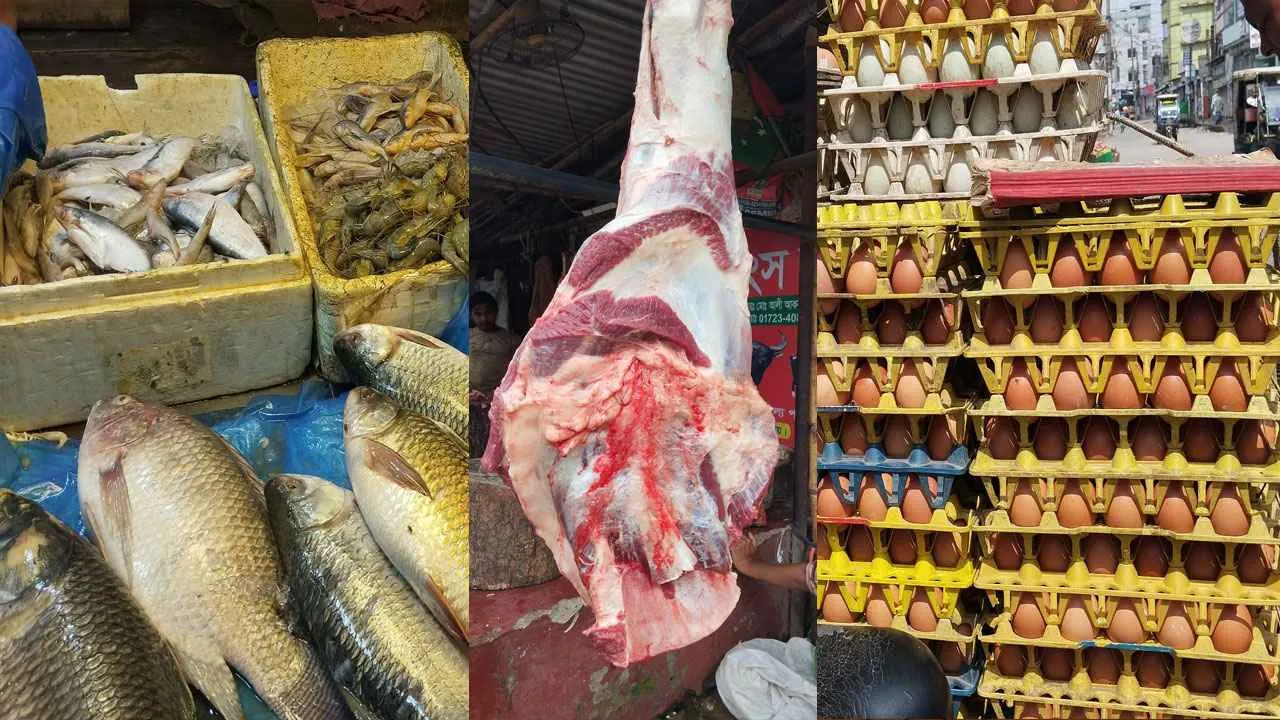 মাছ-মাংসের দামে আগুন