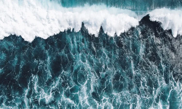 Blue economics: An ocean of possibilities
