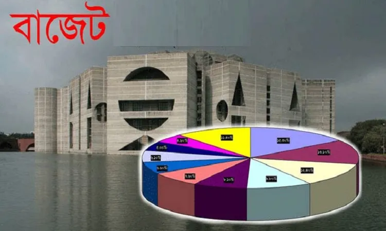 বাজেটে ভোক্তার স্বার্থকে অগ্রাধিকার দিতে হবে