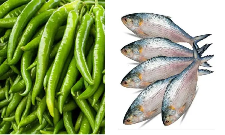 বাড়ছে কাঁচা মরিচের ঝাল, কমেছে ইলিশের দাম