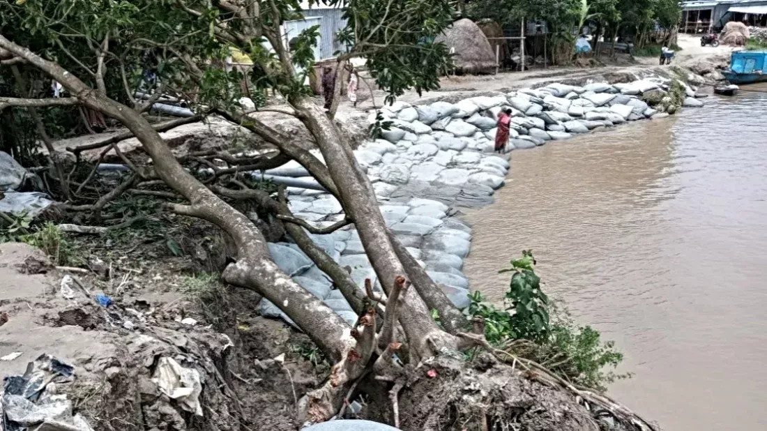 ভাঙনের ঝুঁকিতে দৌলতদিয়ার সবগুলো ফেরিঘাট