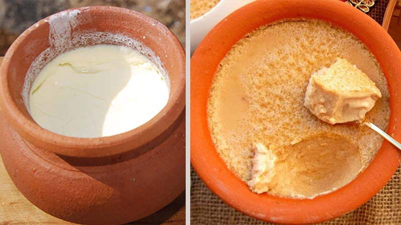 দই নষ্ট হয়ে যায়? জেনে নিন সংরক্ষণের উপায়