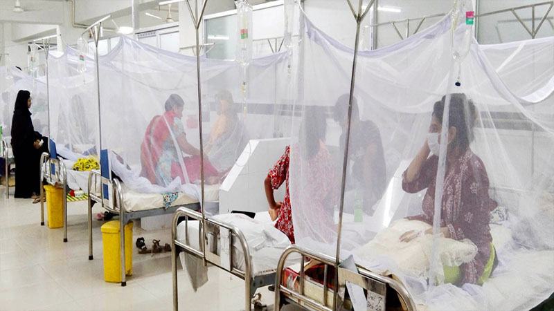 4 dengue patients hospitalised