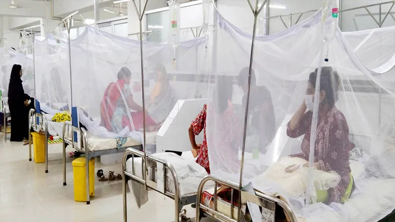Three more hospitalised with dengue