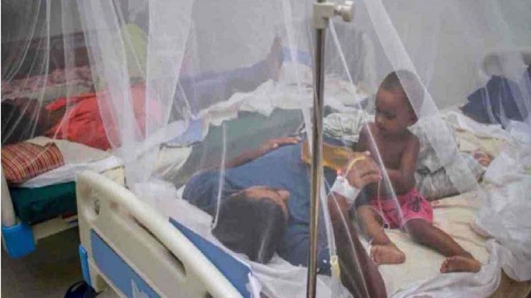 240 new Dengue patients  hospitalised in 24 hours