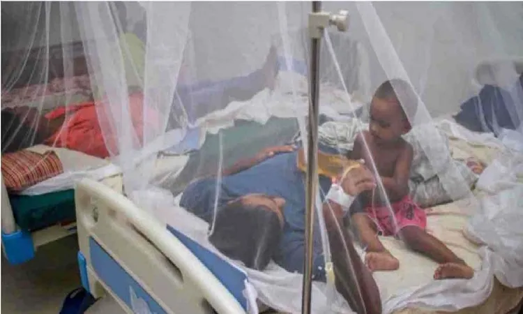 240 new Dengue patients  hospitalised in 24 hours