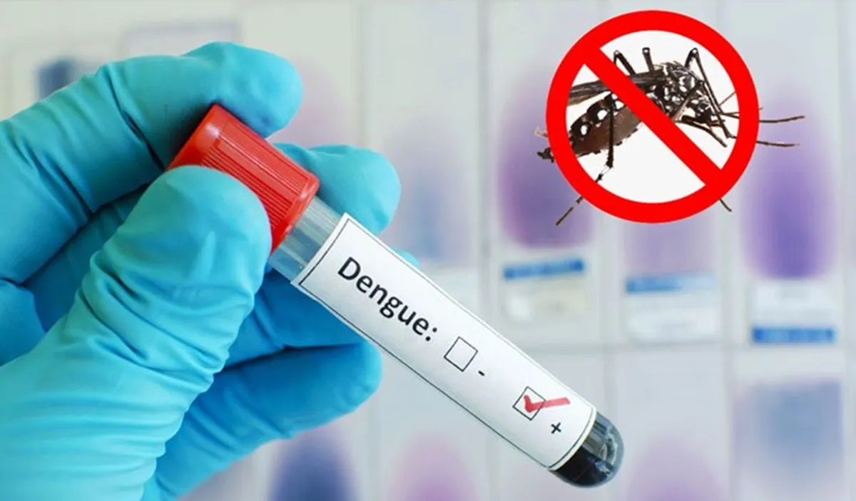 3 die of dengue, 593 hospitalised in 24 hours