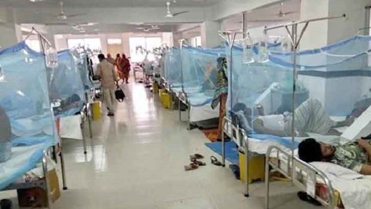 8 more dengue patients hospitalised in 24hrs