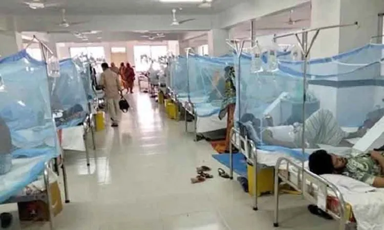 8 more dengue patients hospitalised in 24hrs